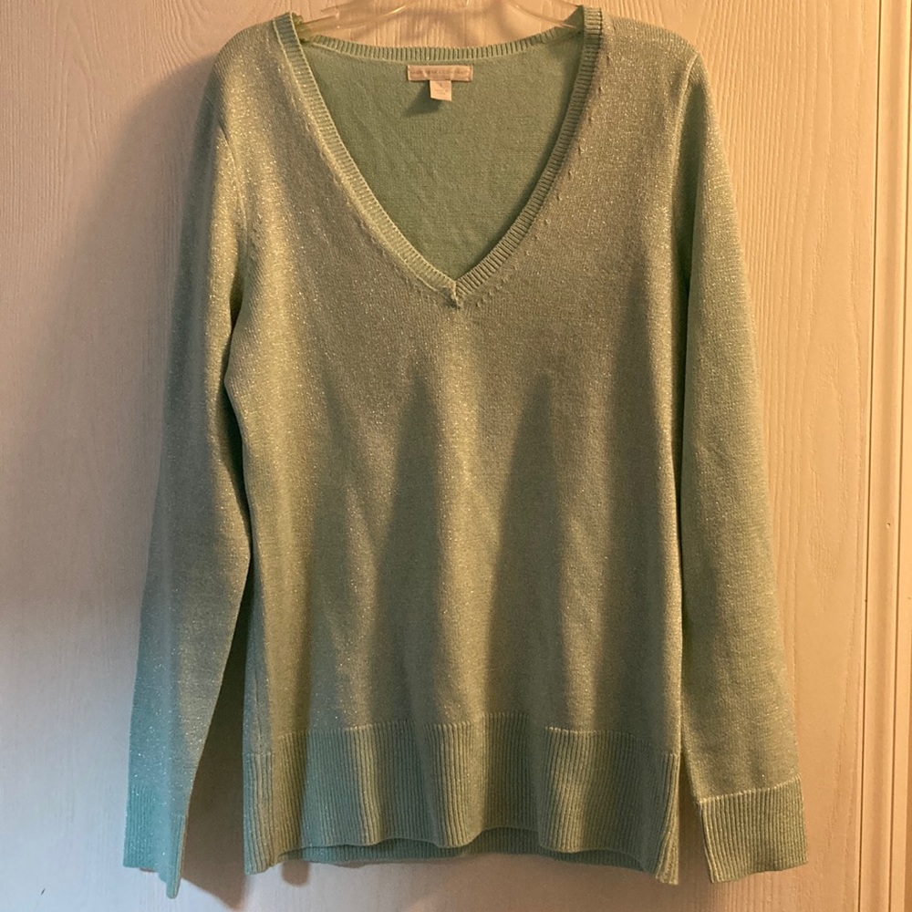 New York & Company light green v neck sweater